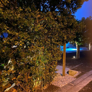 Électricité générale